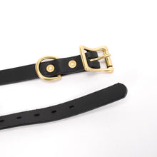 Load image into Gallery viewer, Collar (Slim)