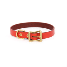 Load image into Gallery viewer, Collar (Slim)