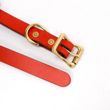Load image into Gallery viewer, Collar (Slim)