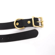 Load image into Gallery viewer, Collar (Wide)
