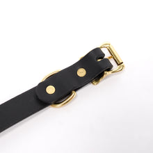 Load image into Gallery viewer, Collar (Wide)
