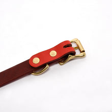 Load image into Gallery viewer, Collar (Slim)
